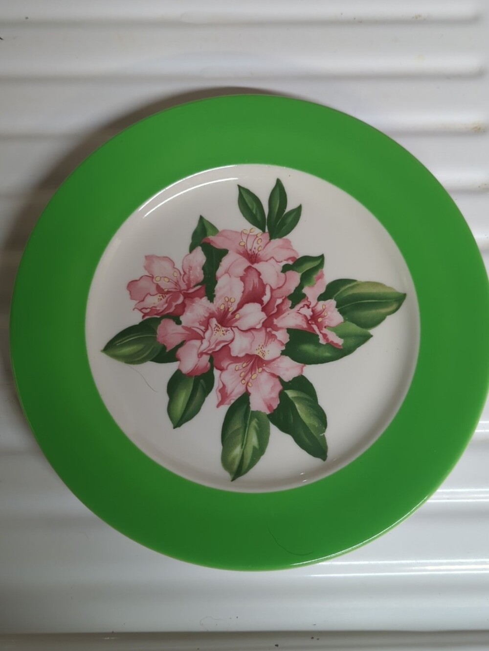 Vintage 1920s Syracuse China Dinner Plate Dorothy Draper Design The Greenbrier